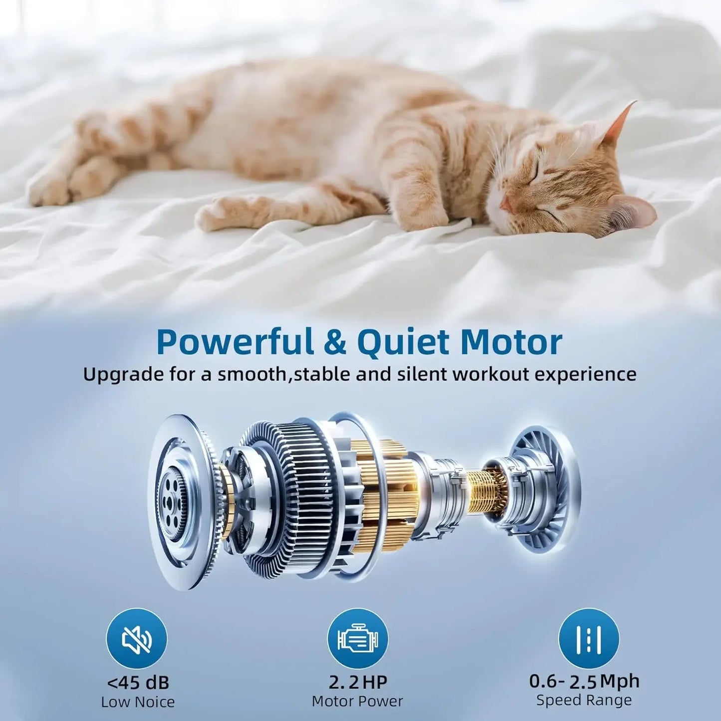 Tapis Marche Superun 2.2HP - Bureau - Masko shop