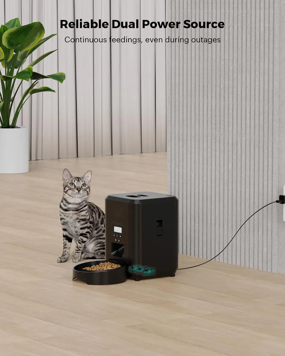 Mangeoire Automatique Chat Chien - Masko shop